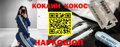 сатива Кингисепп