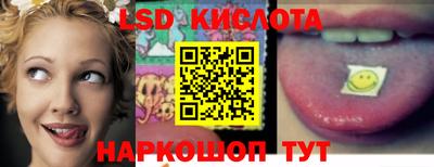 сатива Кингисепп