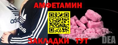 сатива Кингисепп