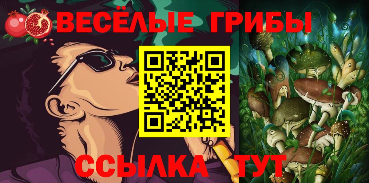 Псилоцибиновые грибы Psilocybe  Вход с VPN  Дзержинск 